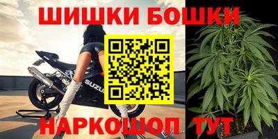 дживик Новозыбков